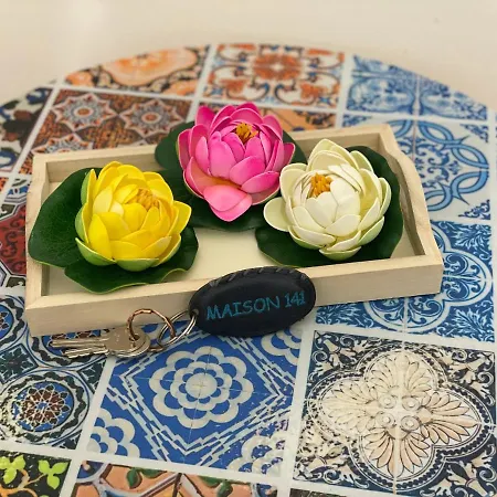 Maison 141 Appartement *